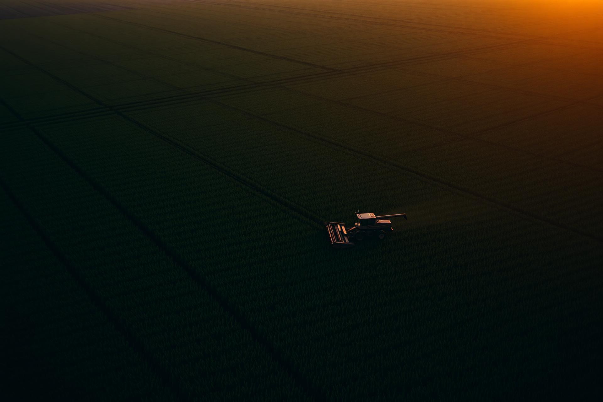 Drone sobre lavoura ao pôr do sol